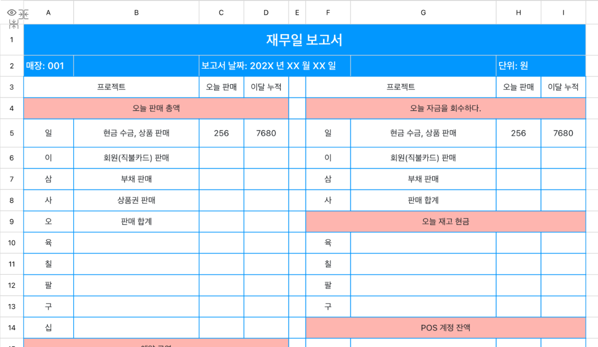 재무일 보고서